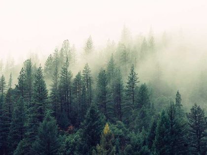 חופשת ספא חורפית בצפון – למה זה כדאי?